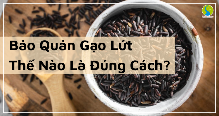 Bảo Quản Gạo Lứt Thế Nào Là Đúng Cách?
