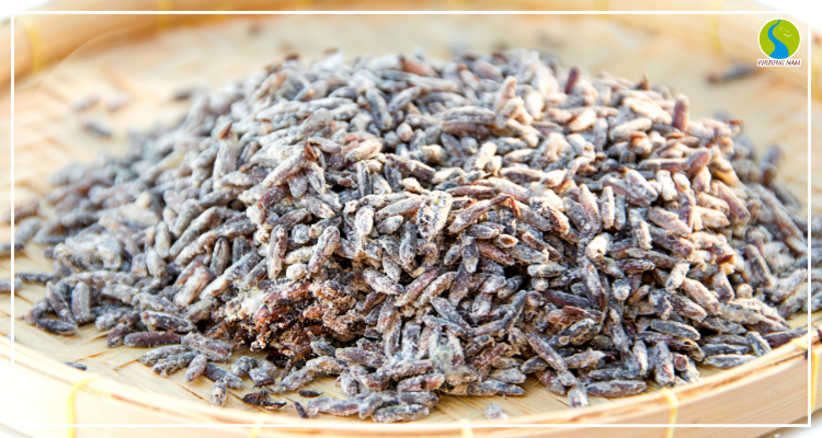 Bảo Quản Gạo Lứt Không Đúng Cách