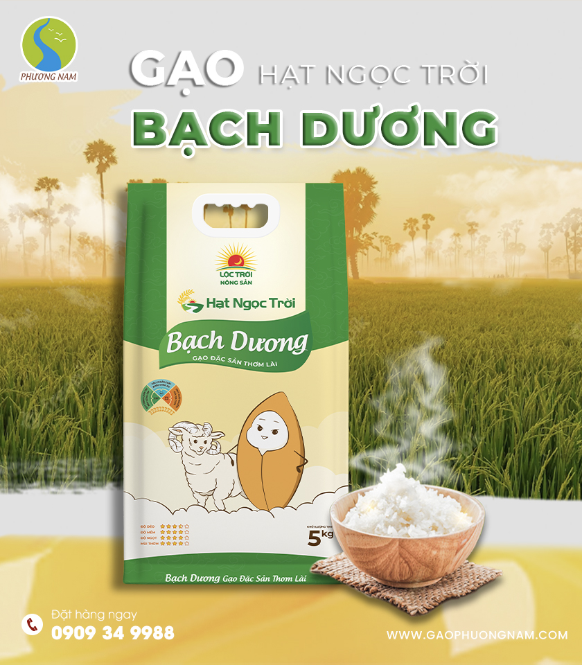 Gạo Hạt Ngọc Trời Bạch Dương