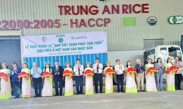  Việt Nam tiên phong xuất khẩu gạo phát thải thấp ra thế giới