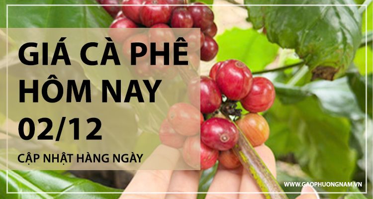 gia-ca-phe-hom-nay-02122025-lao-doc-manh-mat-moc-110000-dongkg-sau-ap-luc-tu-the-gioi