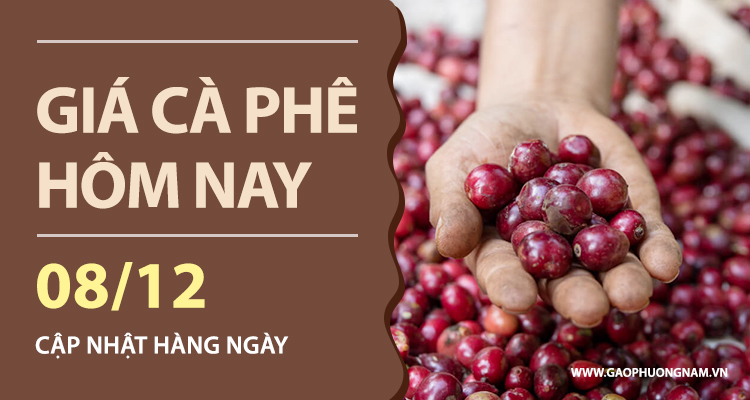 gia-ca-phe-hom-nay-08122025-trong-nuoc-tang-nhe-the-gioi-tiep-tuc-chiu-ap-luc-giam
