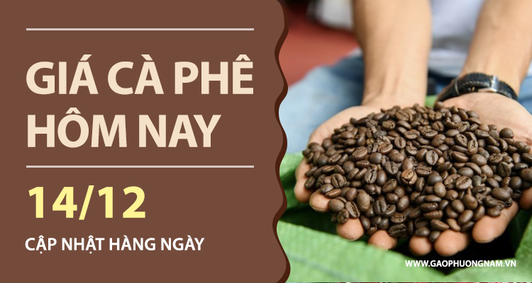 gia-ca-phe-hom-nay-14-12-2025-trong-nuoc-va-the-gioi-chung-lai-sau-cu-giam-manh