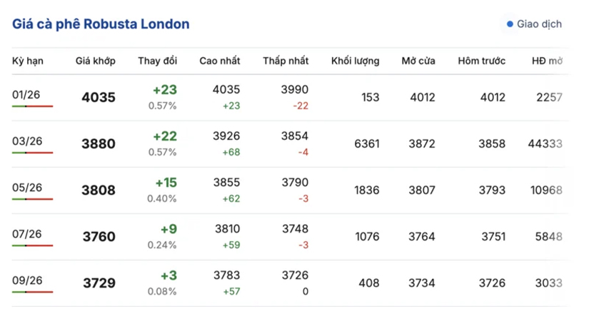 gia-ca-phe-hom-nay-30-12-2025
