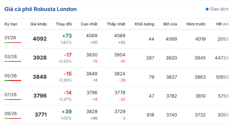 gia-ca-phe-hom-nay-31-12-2025