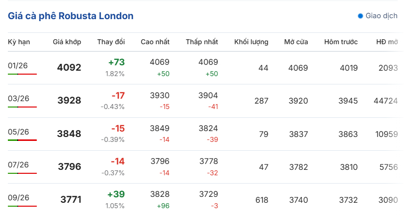 gia-ca-phe-hom-nay-31-12-2025