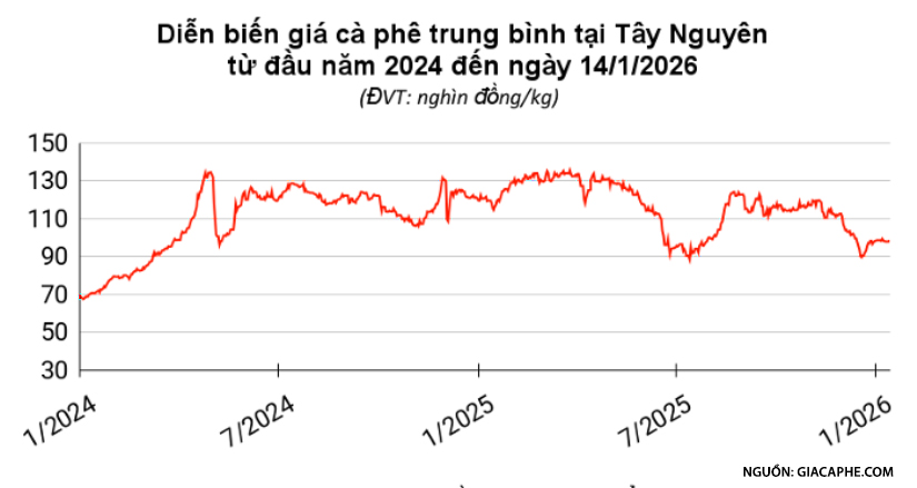 Diễn biến giá cà phê tây nguyên ngày 14/01/2026