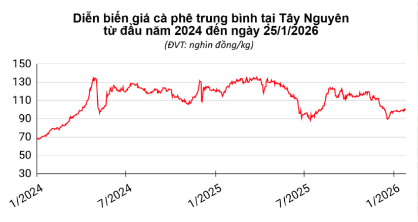 gia-ca-phe-hom-nay-ngay-25-01-2026