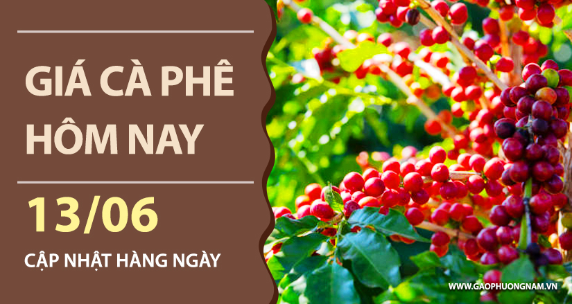gia-ca-phe-hom-nay-ngay-13-06-2026