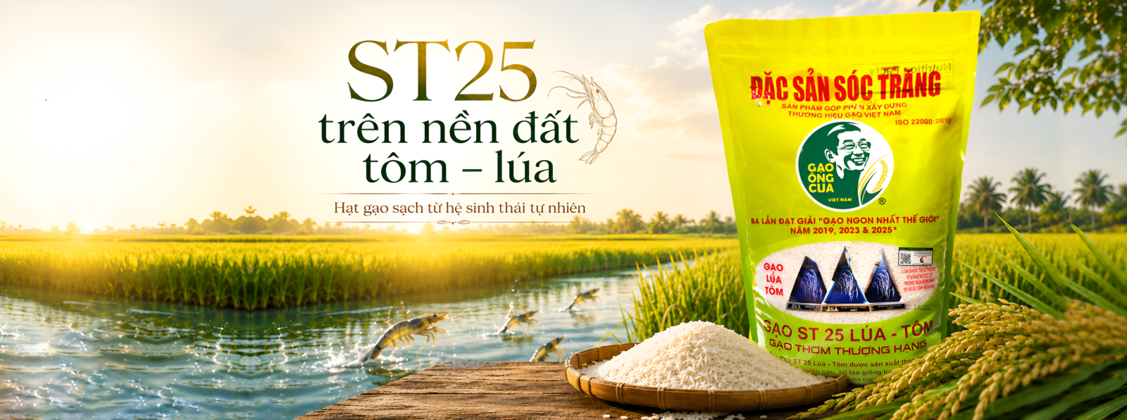 giống lúa ST25 được trồng trong môi trường sinh thái như vậy, những hạt gạo thu hoạch được không chỉ thơm ngon mà còn mang đậm dấu ấn của thiên nhiên.