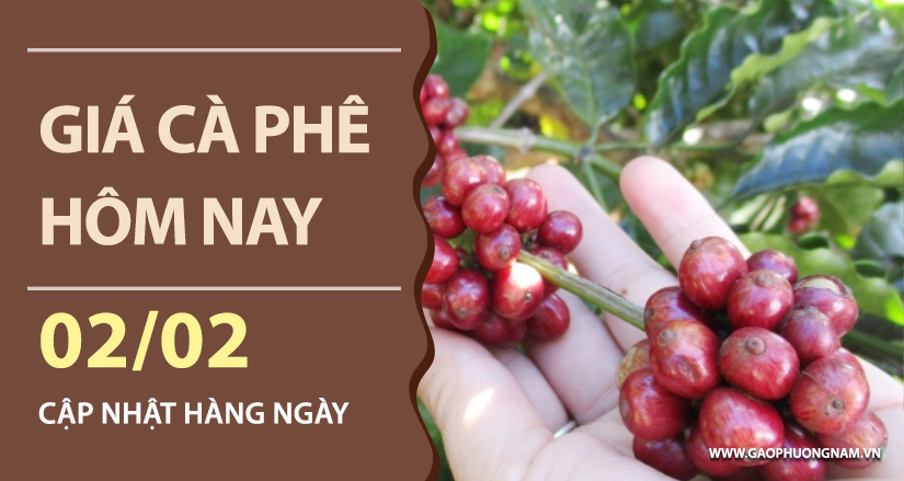 gia-ca-phe-hom-nay-ngay-02-02-2026