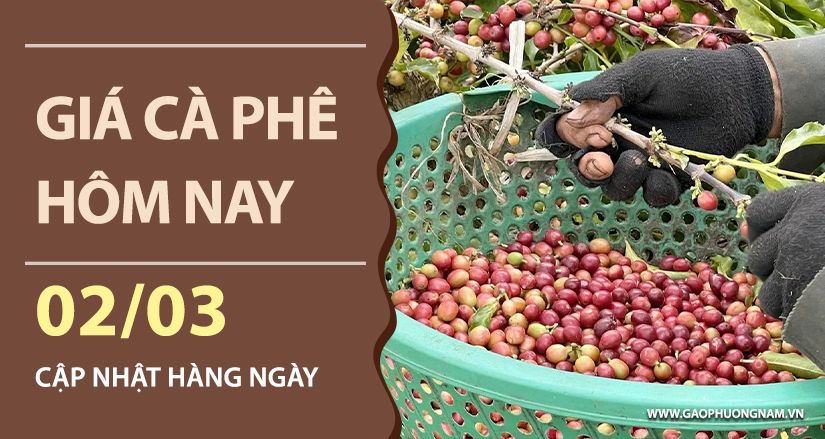 gia-ca-phe-hom-nay-ngay-02-03-2026