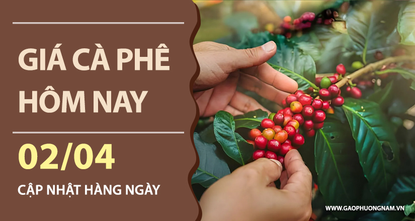 gia-ca-phe-hom-nay-ngay-02-04-2026