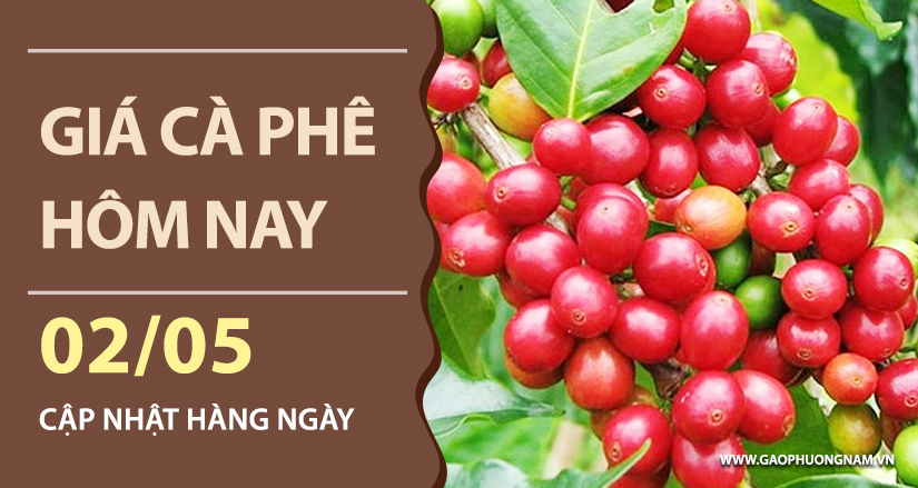 gia-ca-phe-hom-nay-ngay-02-05-2026