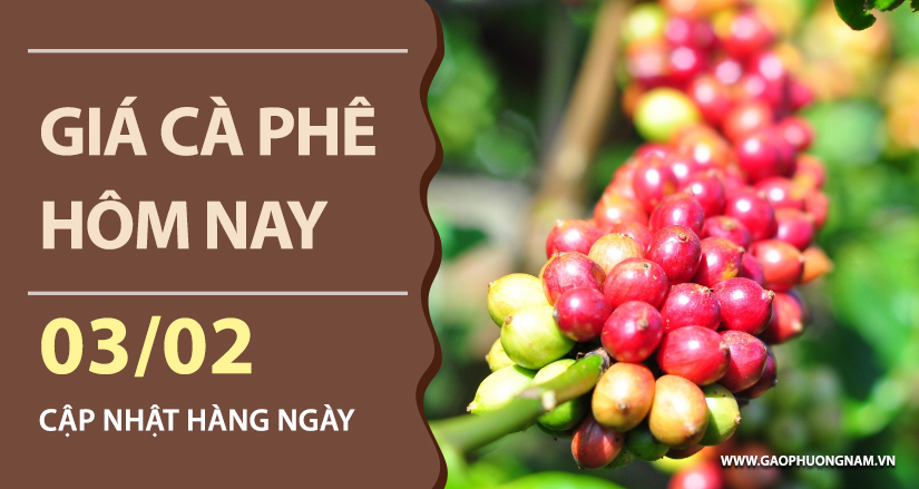 gia-ca-phe-hom-nay-ngay-03-02-2026