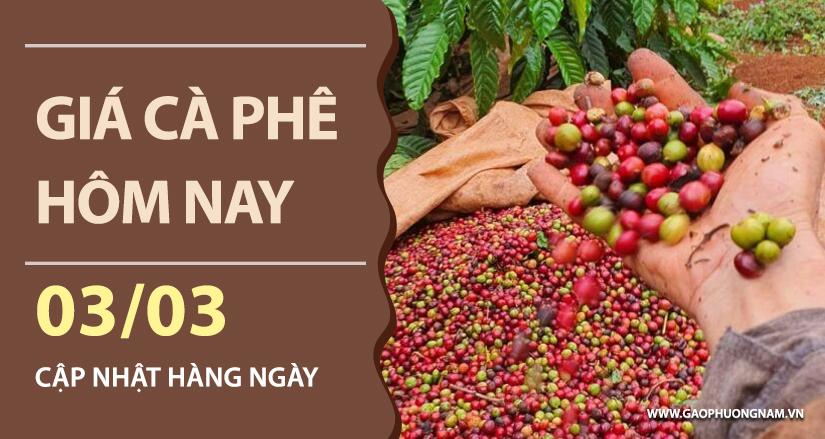 gia-ca-phe-hom-nay-ngay-03-03-2026