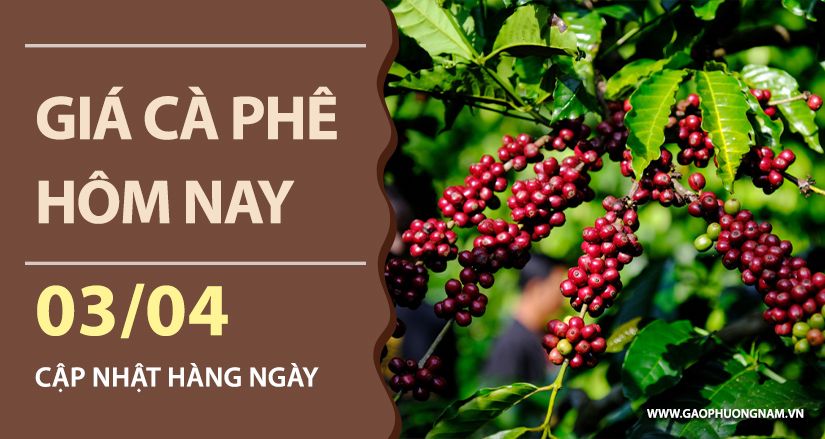 gia-ca-phe-hom-nay-ngay-03-04-2026