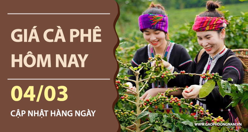 gia-ca-phe-hom-nay-ngay-04-03-2026