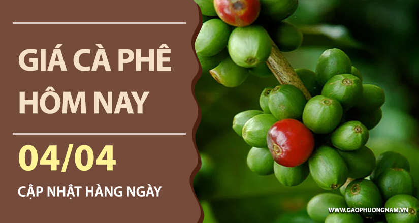 gia-ca-phe-hom-nay-ngay-04-04-2026