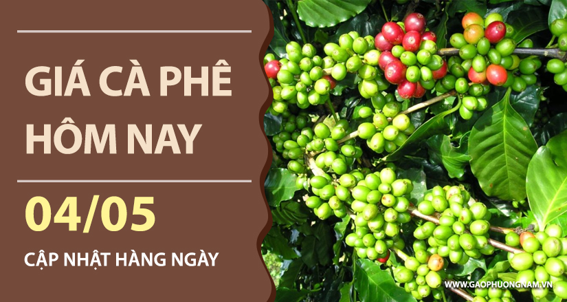 gia-ca-phe-hom-nay-ngay-04-05-2026