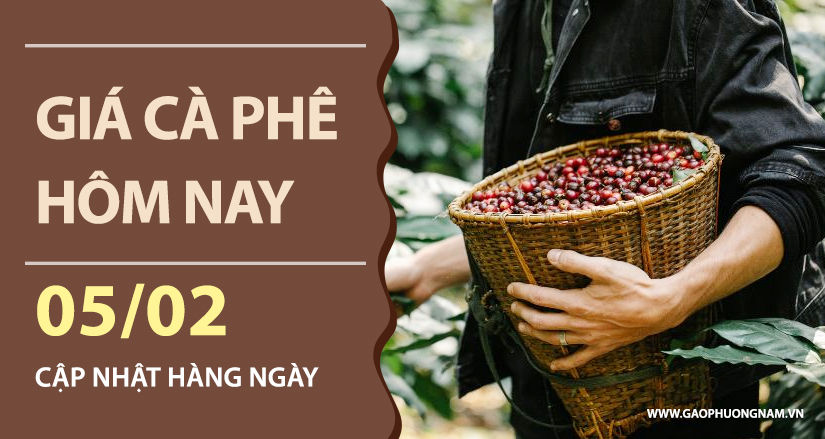 gia-ca-phe-hom-nay-ngay-05-02-2026