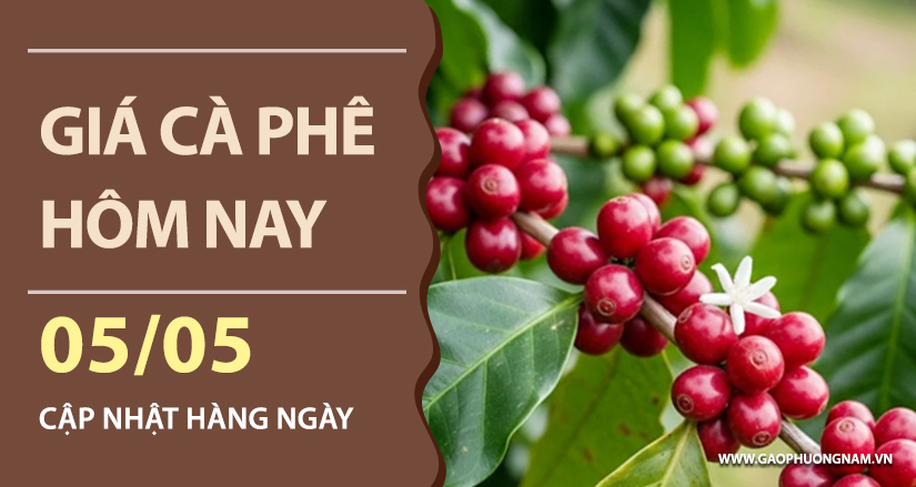 gia-ca-phe-hom-nay-ngay-05-05-2026