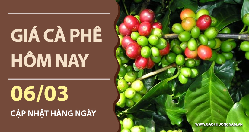 gia-ca-phe-hom-nay-ngay-06-03-2026