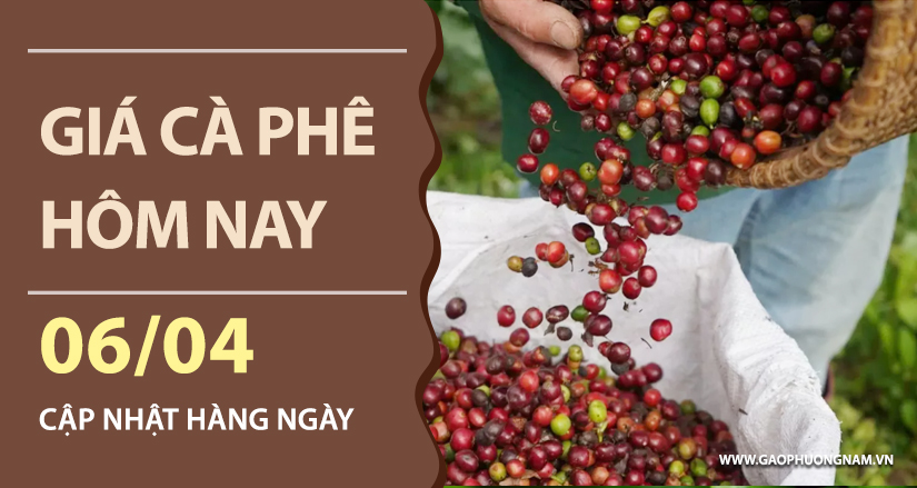 gia-ca-phe-hom-nay-ngay-06-04-2026