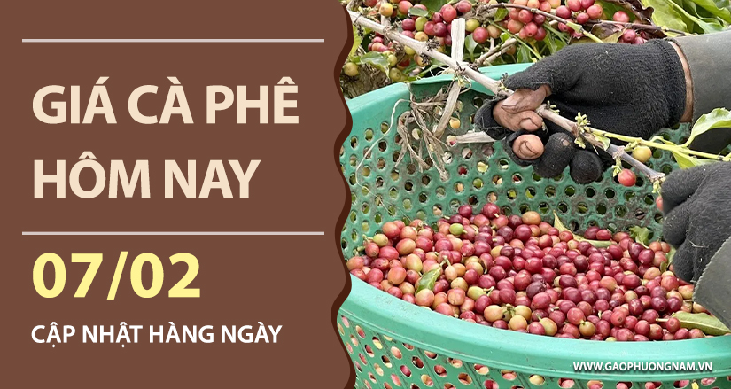 gia-ca-phe-hom-nay-ngay-07-02-2026
