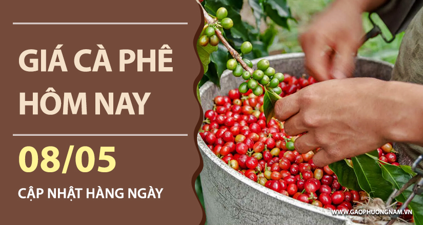 gia-ca-phe-hom-nay-ngay-08-05-2026