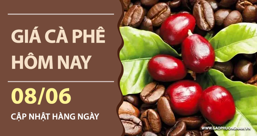 gia-ca-phe-hom-nay-ngay-08-06-2026