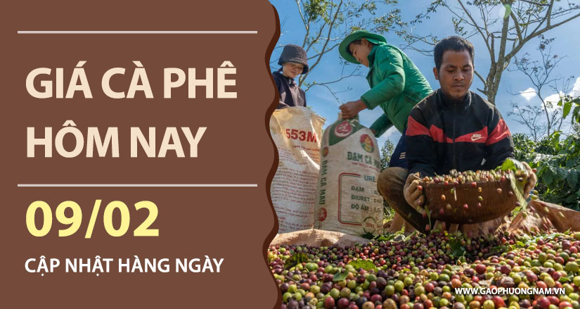 gia-ca-phe-hom-nay-ngay-09-02-2026