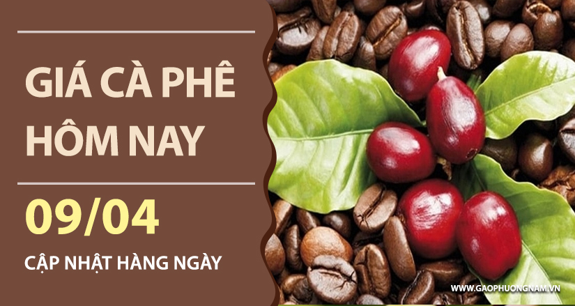 gia-ca-phe-hom-nay-ngay-09-04-2026