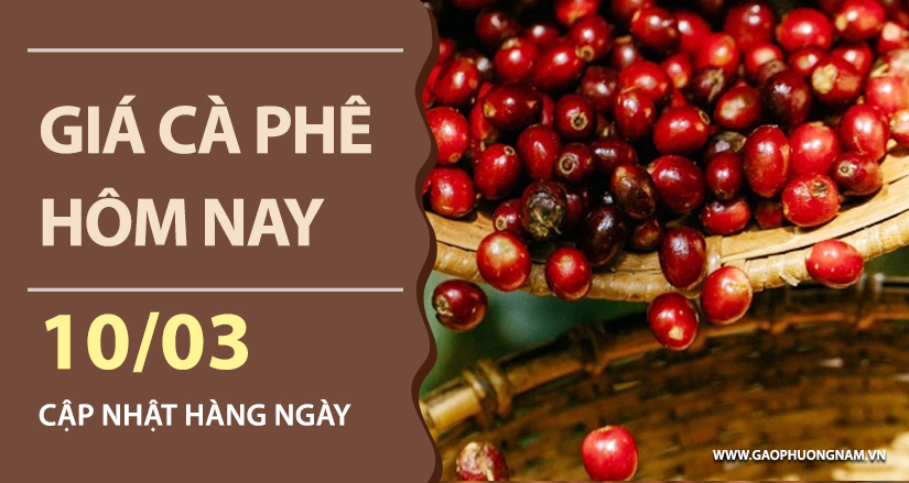 gia-ca-phe-hom-nay-ngay-10-03-2026