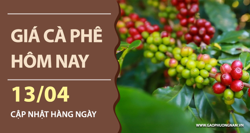 gia-ca-phe-hom-nay-ngay-13-04-2026