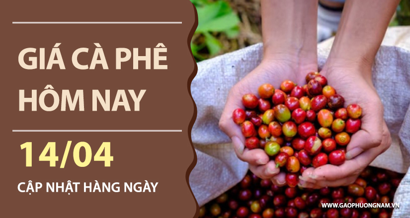 gia-ca-phe-hom-nay-ngay-14-04-2026