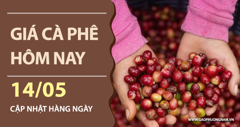 gia-ca-phe-hom-nay-ngay-14-05-2026