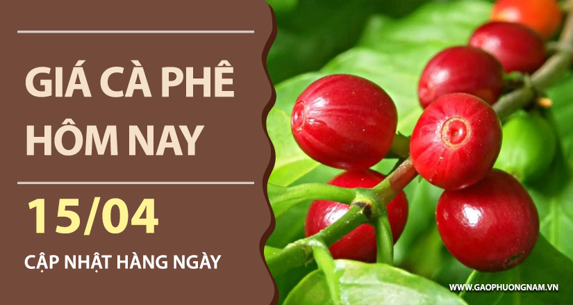 gia-ca-phe-hom-nay-ngay-15-04-2026