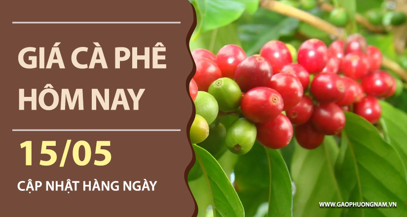 gia-ca-phe-hom-nay-ngay-15-05-2026