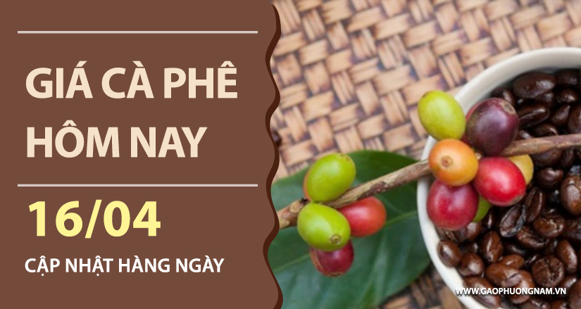 gia-ca-phe-hom-nay-ngay-15-04-2026