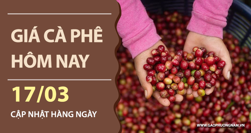 gia-ca-phe-hom-nay-ngay-17-03-2026