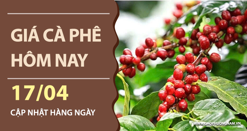 gia-ca-phe-hom-nay-ngay-17-04-2026