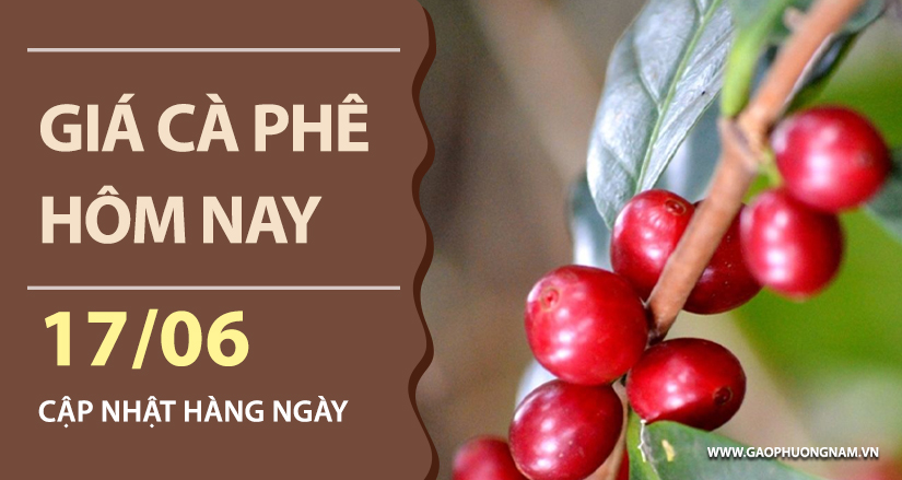 gia-ca-phe-hom-nay-ngay-17-06-2026
