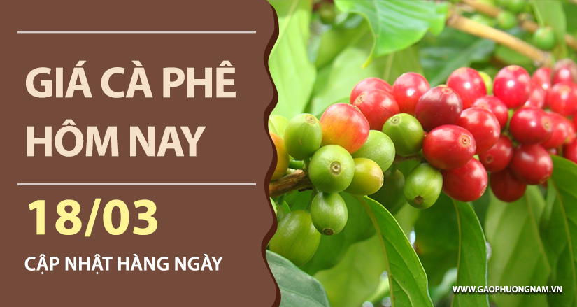 gia-ca-phe-hom-nay-ngay-18-03-2026