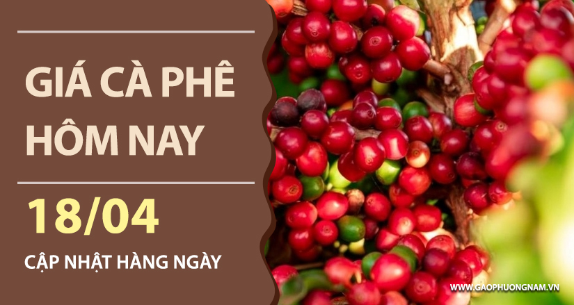 gia-ca-phe-hom-nay-ngay-18-04-2026