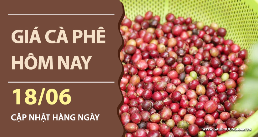 gia-ca-phe-hom-nay-ngay-18-06-2026