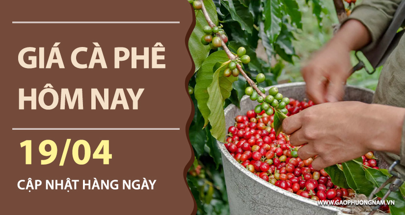 gia-ca-phe-hom-nay-ngay-19-04-2026