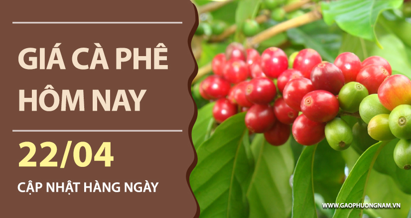 gia-ca-phe-hom-nay-ngay-22-04-2026