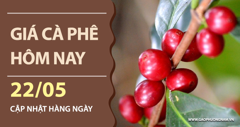 gia-ca-phe-hom-nay-ngay-22-05-2026
