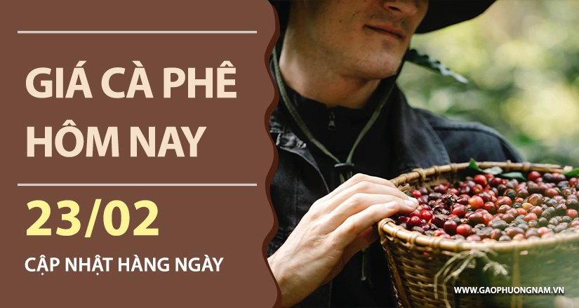 gia-ca-phe-hom-nay-ngay-13-02-2026